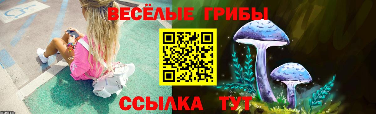 купить  сайты  Вход с VPN  Иваново  Псилоцибиновые грибы MAGIC MUSHROOMS 